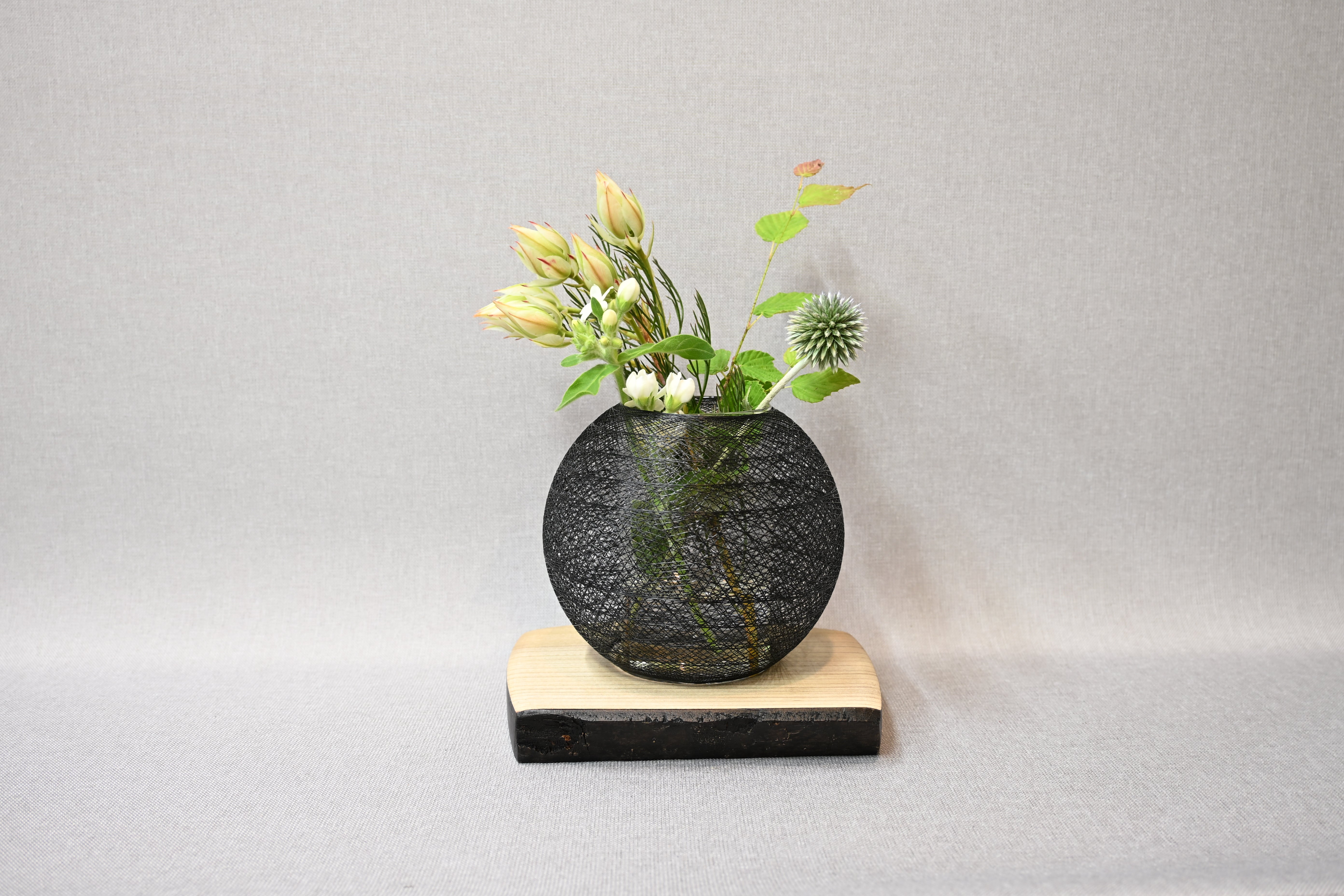 風KAZE(UZU)-Black FV-006